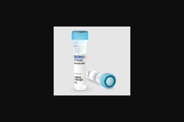 Common burreed tuber Extract