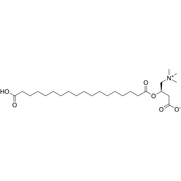 Octadecanedioic acid mono-L-carnitine ester