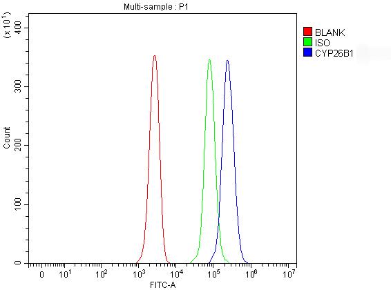 a02691 2 cyp26b1 primary antibodies fcm testing 1 a02691 2 cyp26b1 primary antibodies fcm testing 1