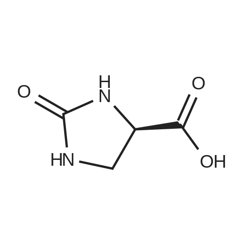 (R)-2-Oxoimidazolidine-4-carboxylic acid
