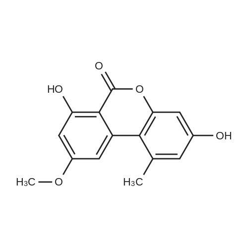 Djalonensone