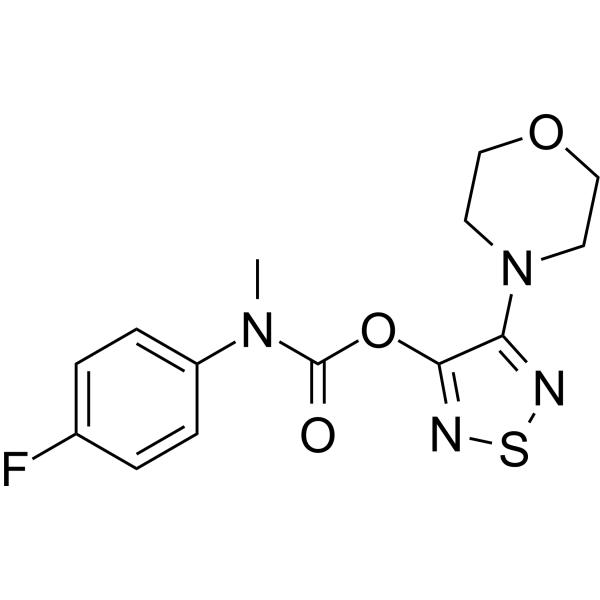 JZP-MA-13