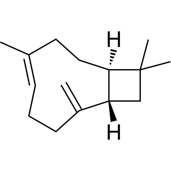 β-Caryophyllene