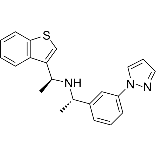 Z8554052021