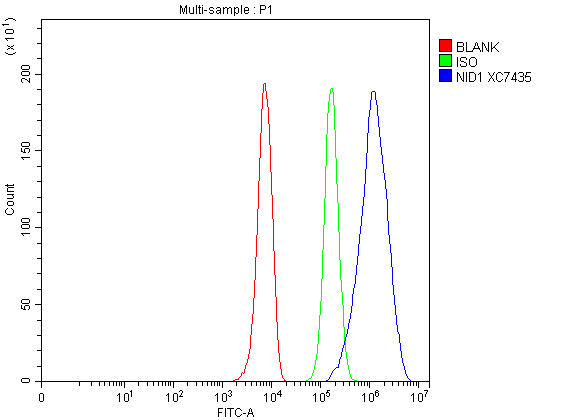 a05621 nid1 primary antibodies fcm testing 1 a05621 nid1 primary antibodies fcm testing 1