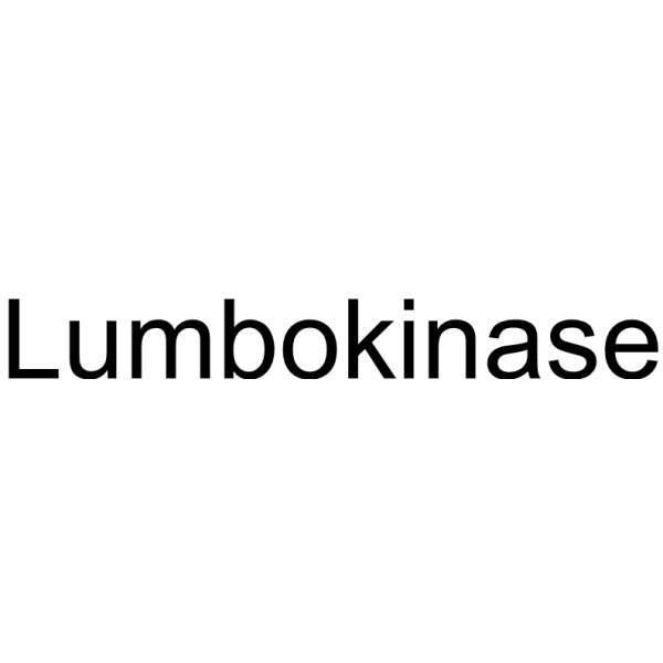 Lumbokinase