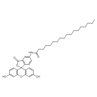 N-(3',6'-Dihydroxy-3-oxo-3H-spiro[isobenzofuran-1,9'-xanthen]-5-yl)stearamide