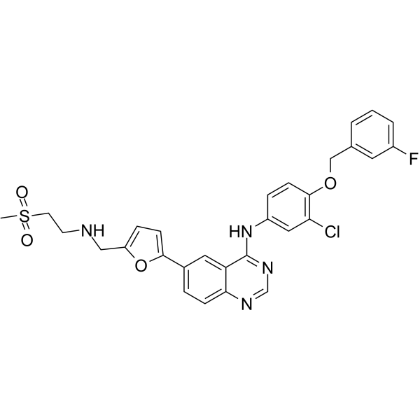 Lapatinib