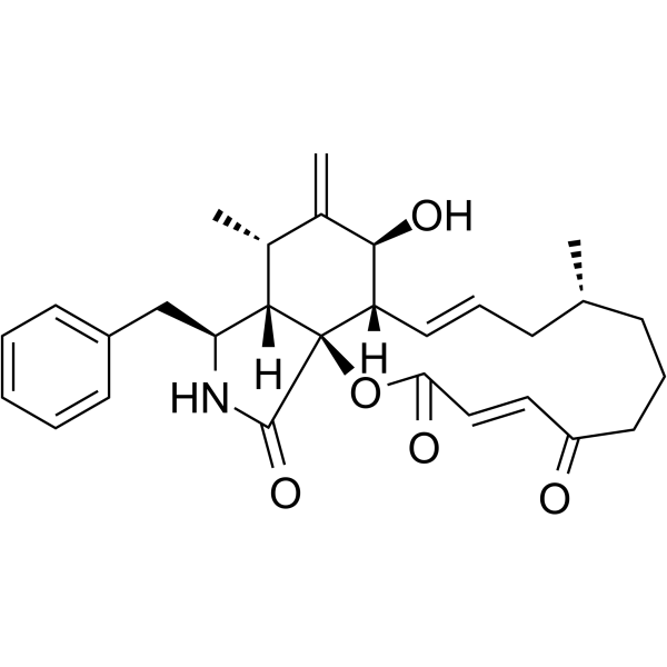 Cytochalasin A