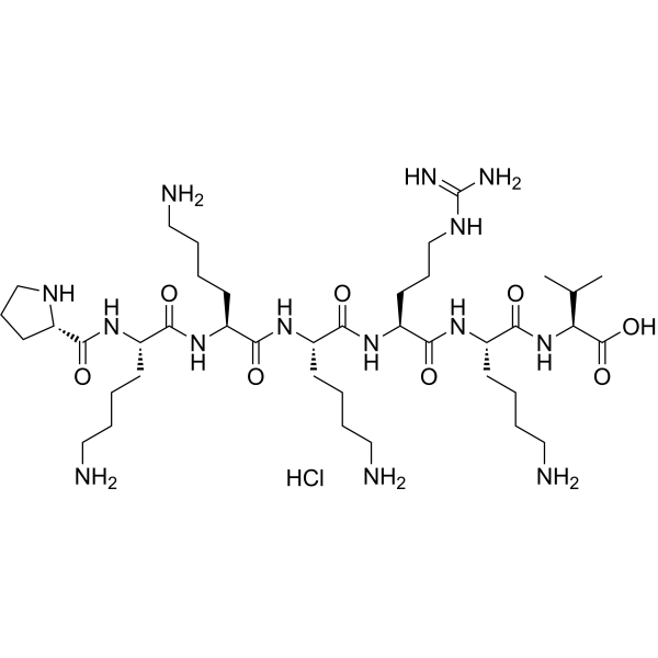 NLS (PKKKRKV) (hydrochloride)