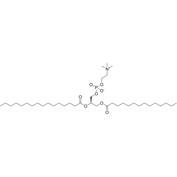 1-Myristoyl-2-palmitoyl-sn-glycero-3-phosphocholine