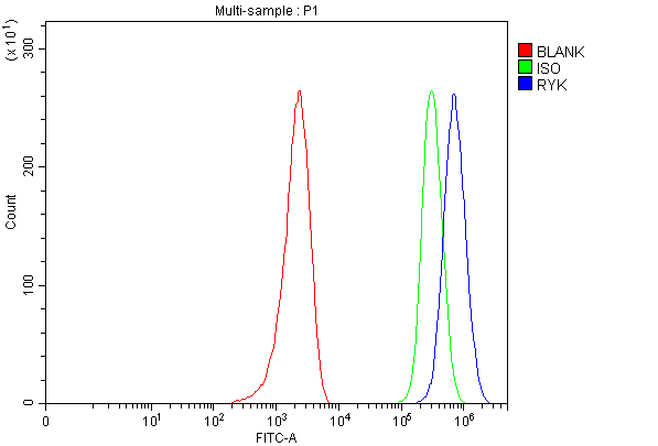 a07225 1 ryk primary antibodies fcm testing 1 a07225 1 ryk primary antibodies fcm testing 1