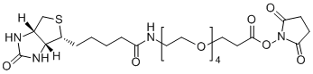 Biotin-PEG4-SPA