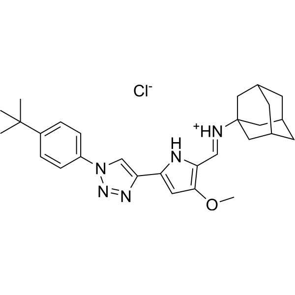 Lactate transportor 1