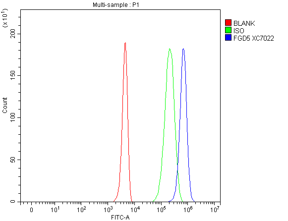 a09444 1 fgd5 primary antibodies fcm testing 1 a09444 1 fgd5 primary antibodies fcm testing 1